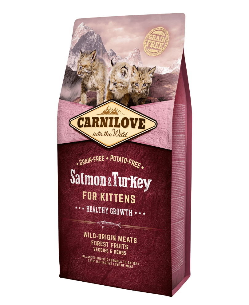 Carnilove Kitten – łosoś i indyk dla zdrowego wzrostu