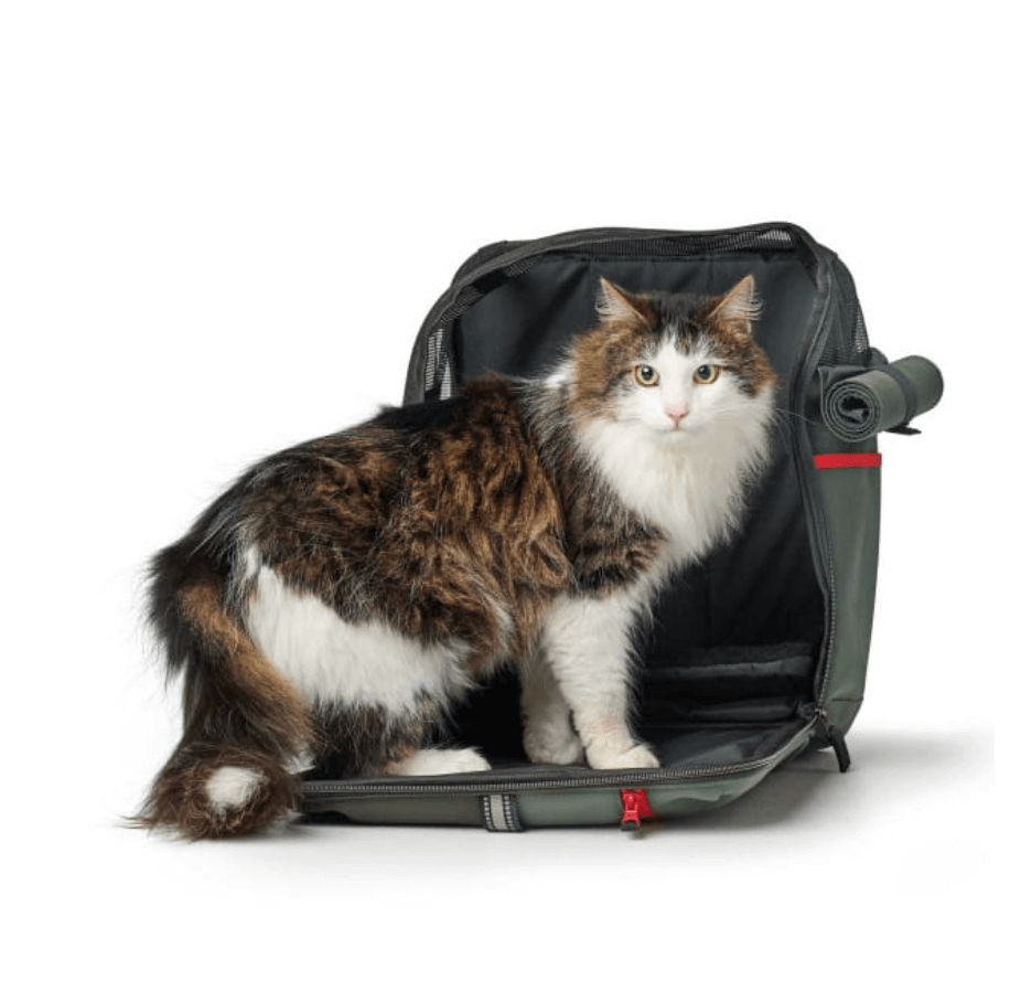 Hunter plecak Orlando dla psa i kota do 7 kg