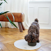 Hunter Miska ceramiczna dla psa Osby – elegancki styl