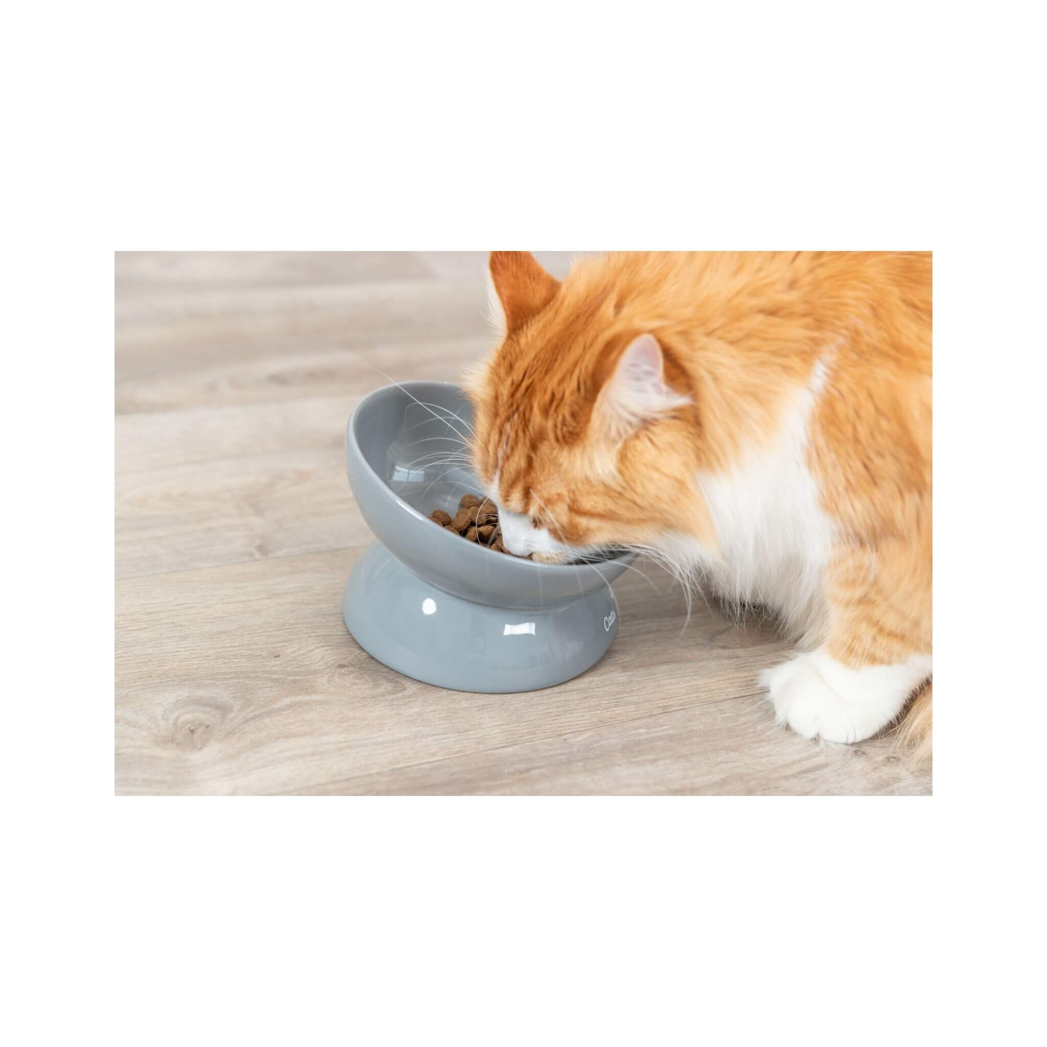 Miska ceramiczna XXL dla kota, szara, 0.35 l, ø 17 cm
