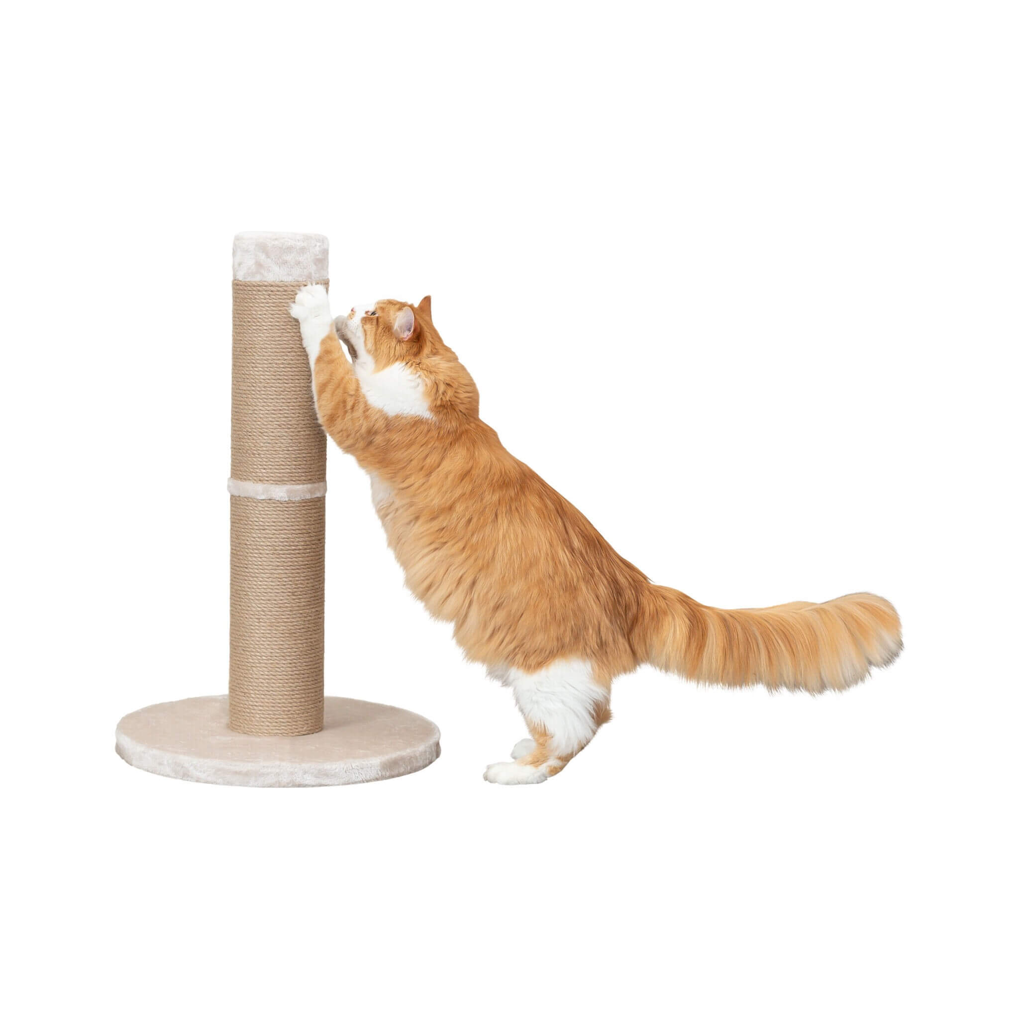 rue-xxl-drapak-stojacy-dla-kota-bezowy-80-cm.jpg