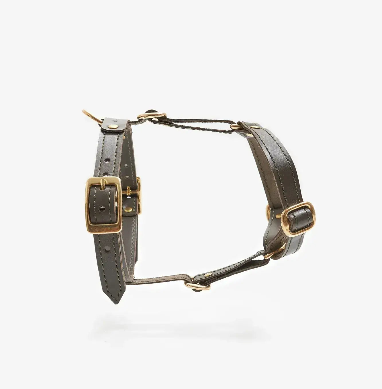 szelki-classy-kolor-oliwa-11485103652335.webp